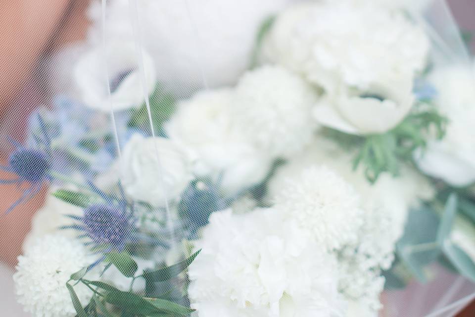 Fluffy white florals