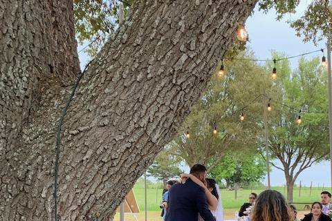 First Dance under the old oak