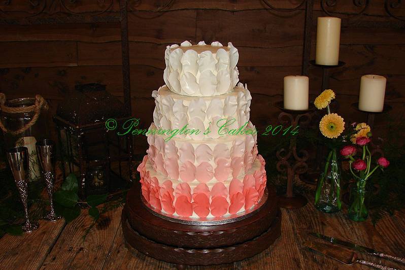 Pink ombre cake