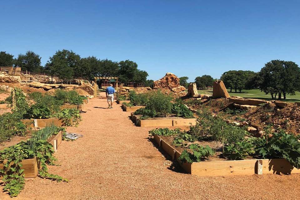 Farm to Table Garden