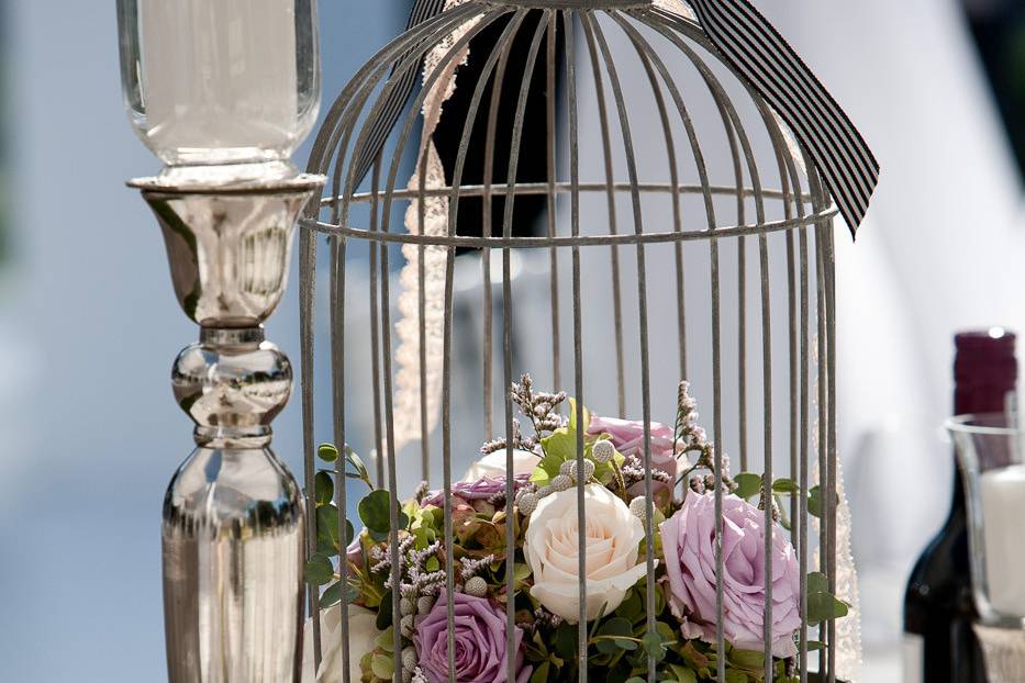 Bird cage