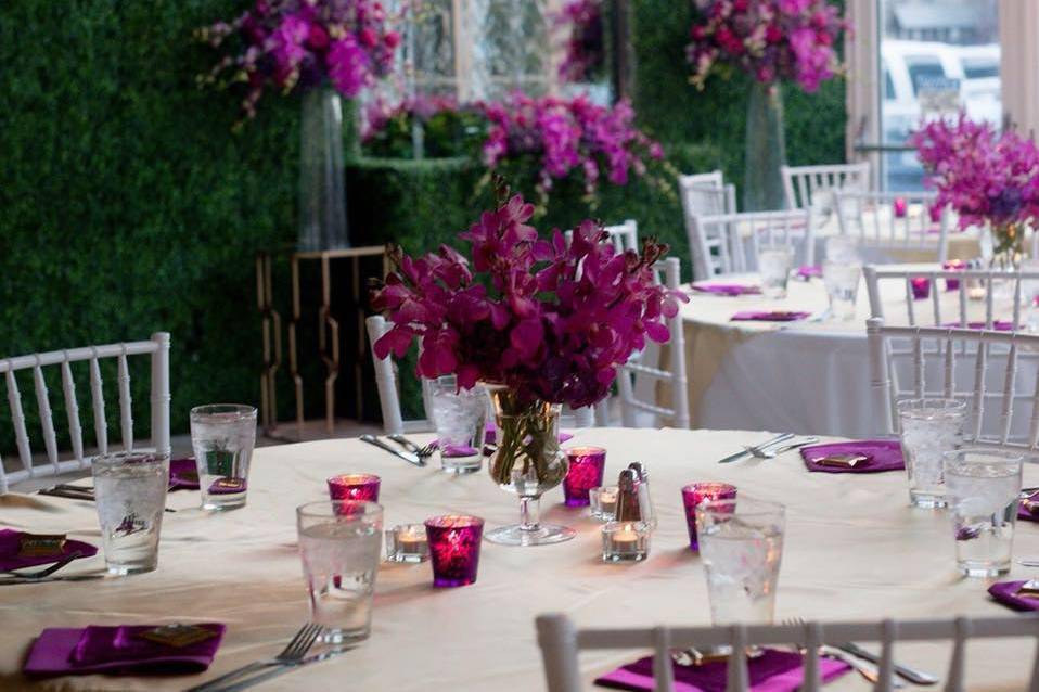 The Conservatory