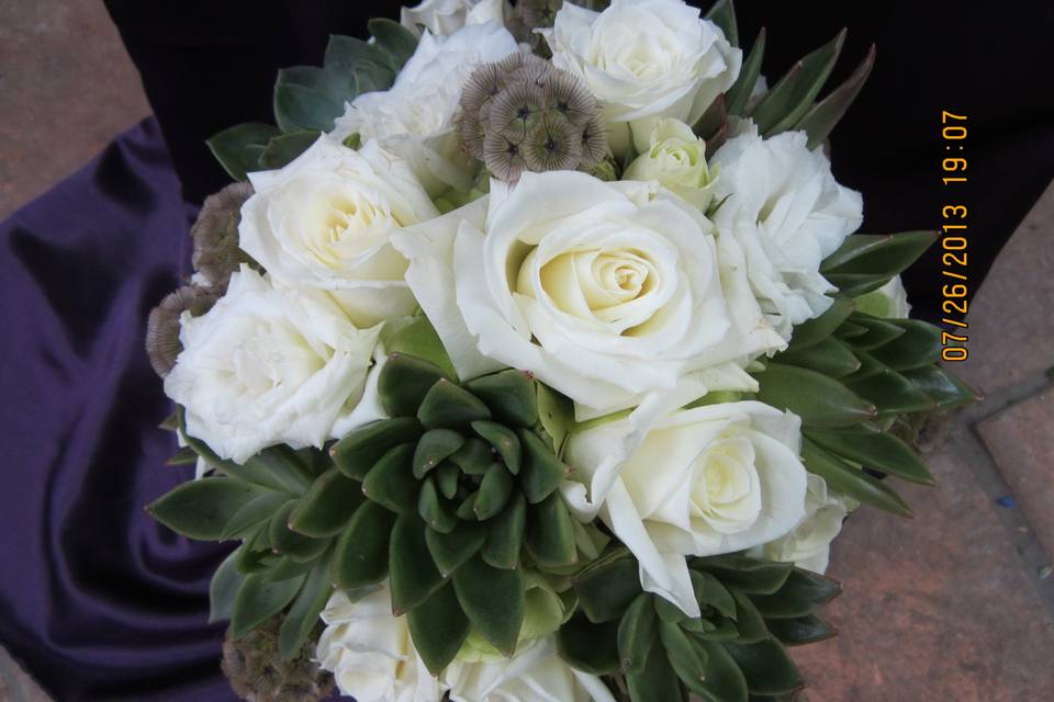 White roses and succulents
