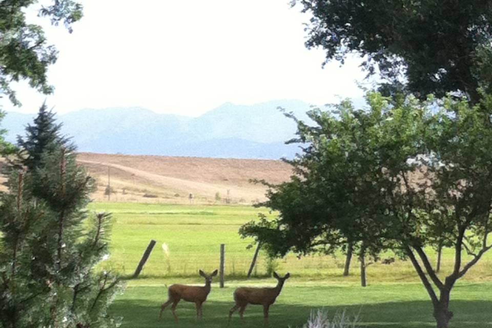 Shupe Homestead