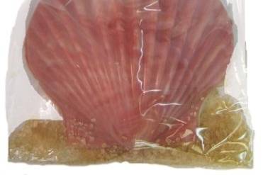 Large Pink Chocolate Fan Seashell Gift Bag.  Bag size is 3.5