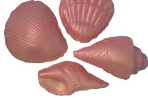 Coral Luster Chocolate Seashells