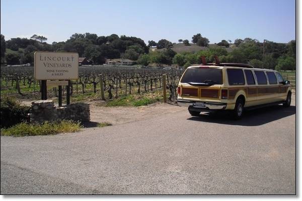 Surf's Up Limos