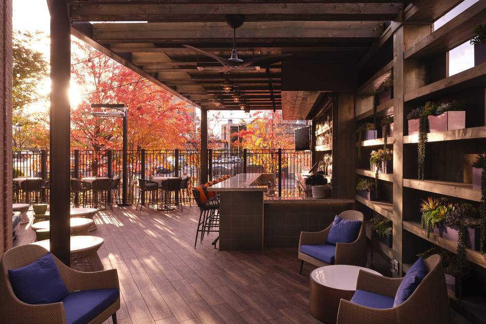 Central Bar + Kitchen Patio