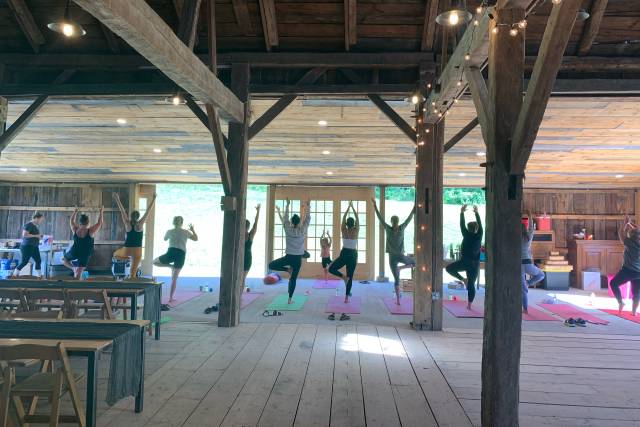 Levity Mountain yoga
