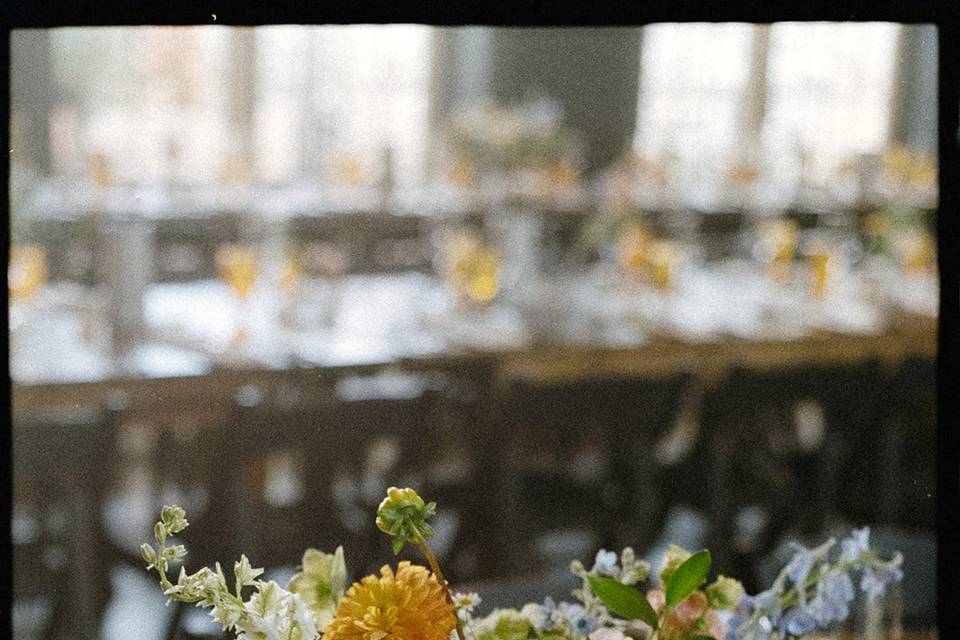 Details - Film