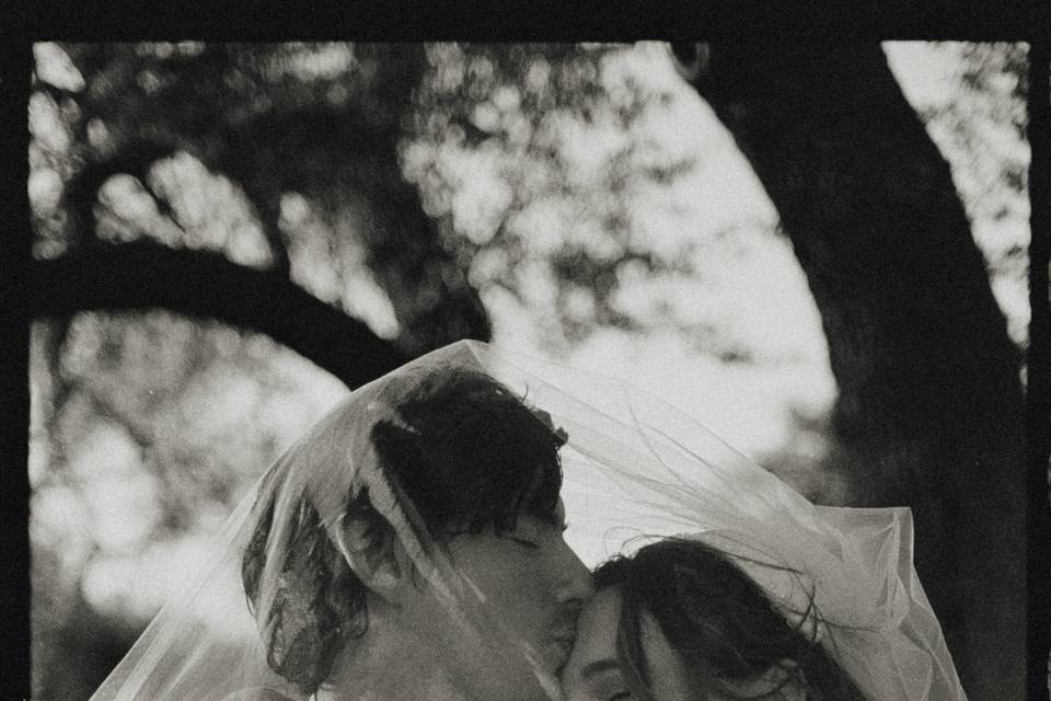Film
