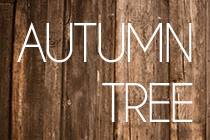 Autumn Tree Films