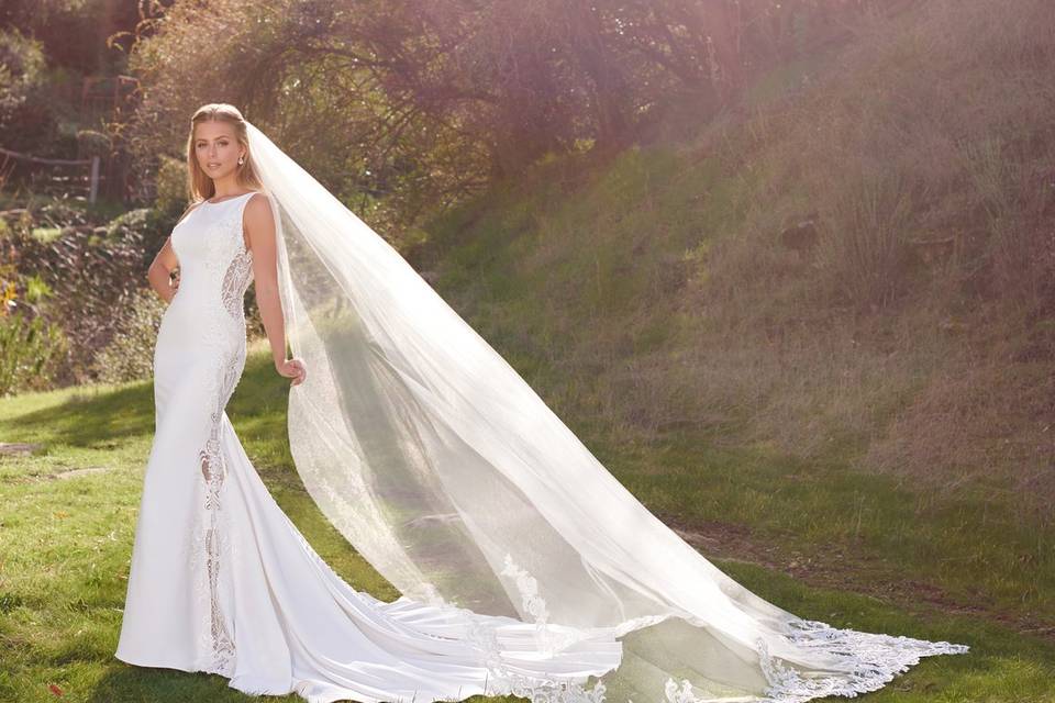 Amazing gown and matching veil