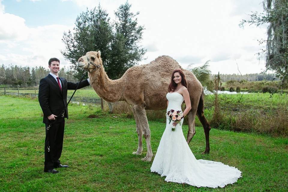 Couple with a camel