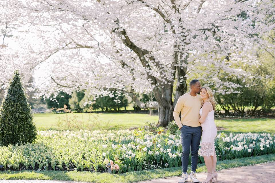 Longwood Gardens Engagement