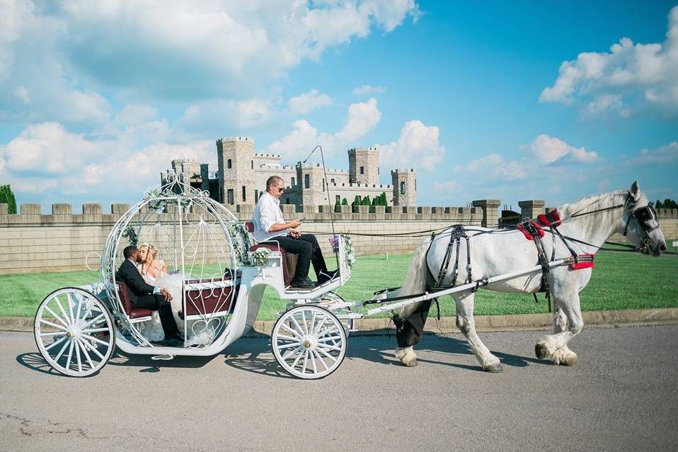 A Carriage Ride