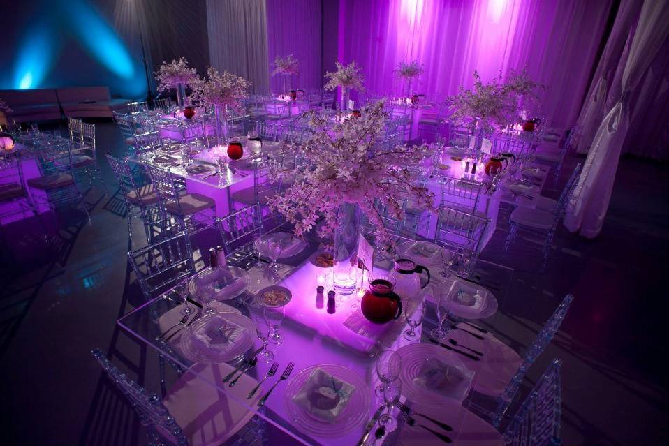 Fenice Events Chair Rentals