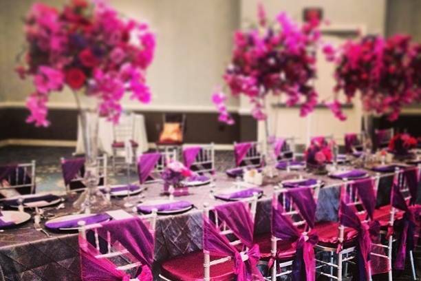 Fenice Events Chair Rentals