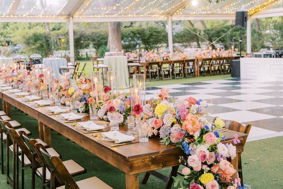 Colorful Reception