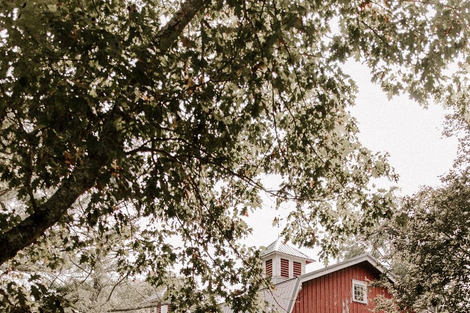 Outside of Barn