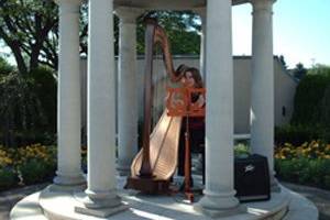 The Upstate Harpist