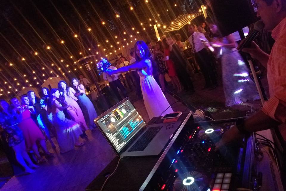 IDj Elegance Division