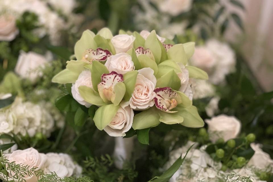 Green cymbidium and ivory rose