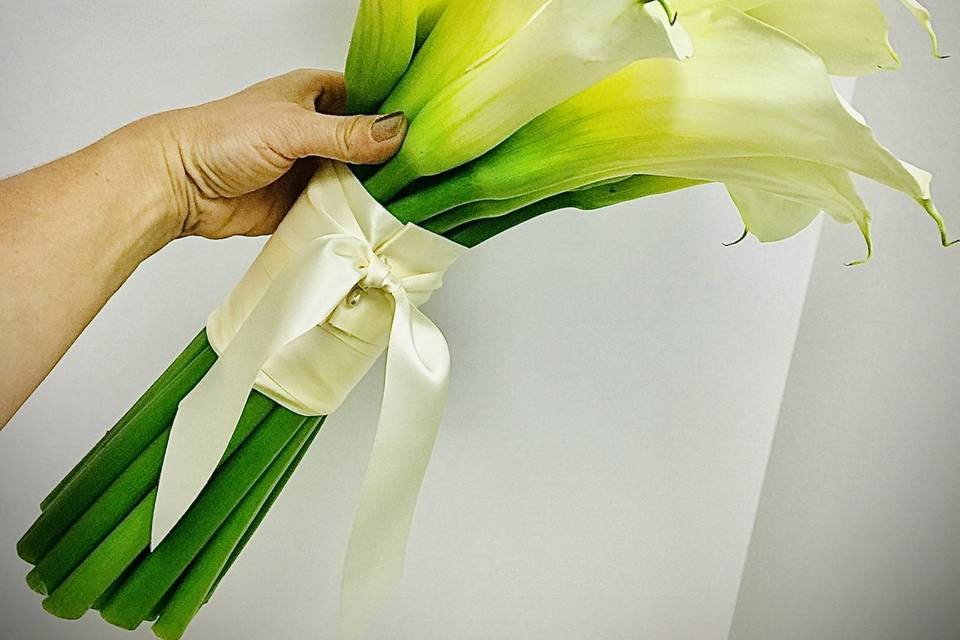 Super calla lilies