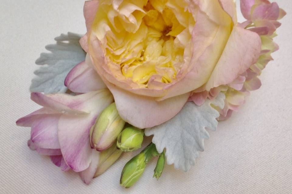 Garden rose and freesia bouton