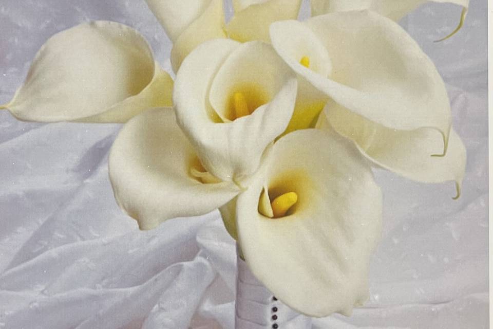 White super callas