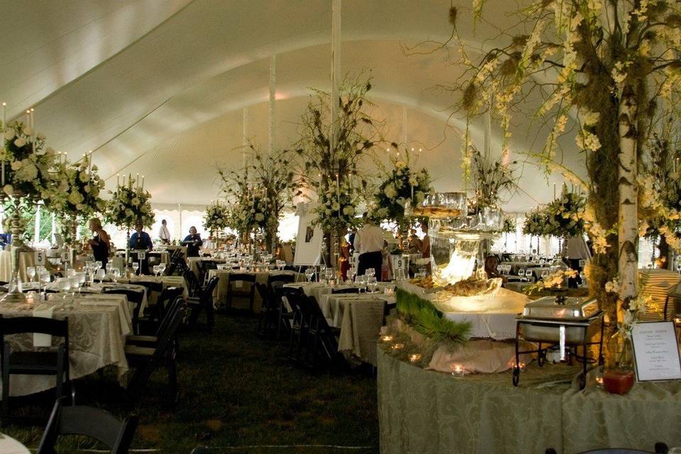 Event Central Party and Tent Rental