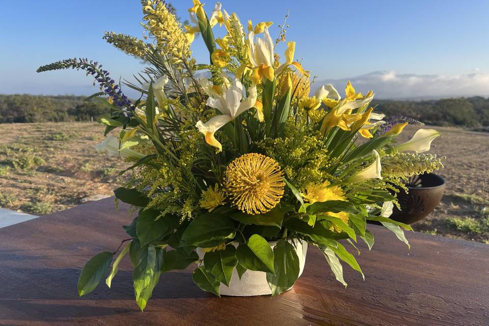 Bright Yellow Arrangement