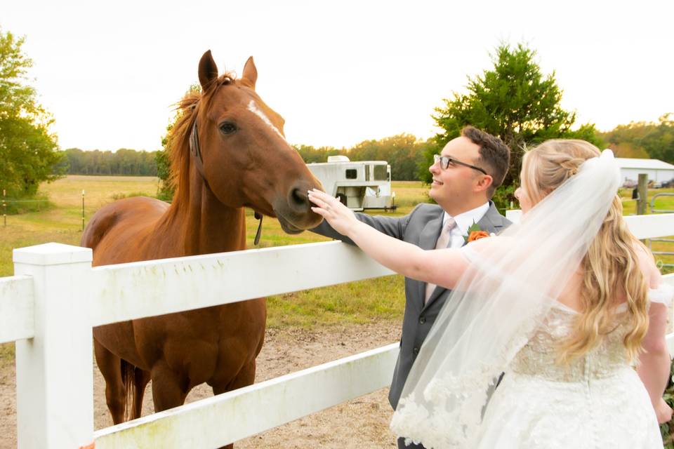 Bride & Groom