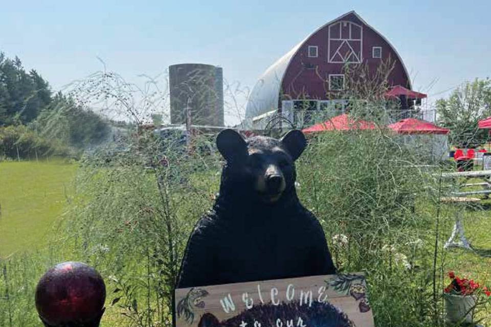 Welcome to our Bear Garden