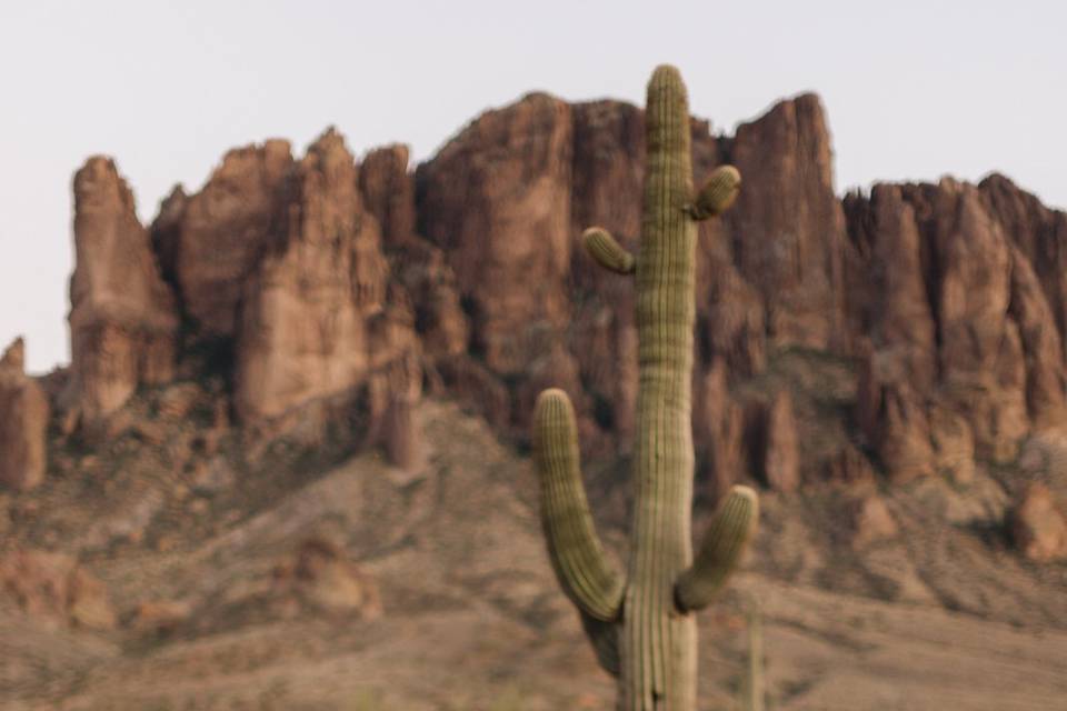 Arizona wedding photographer