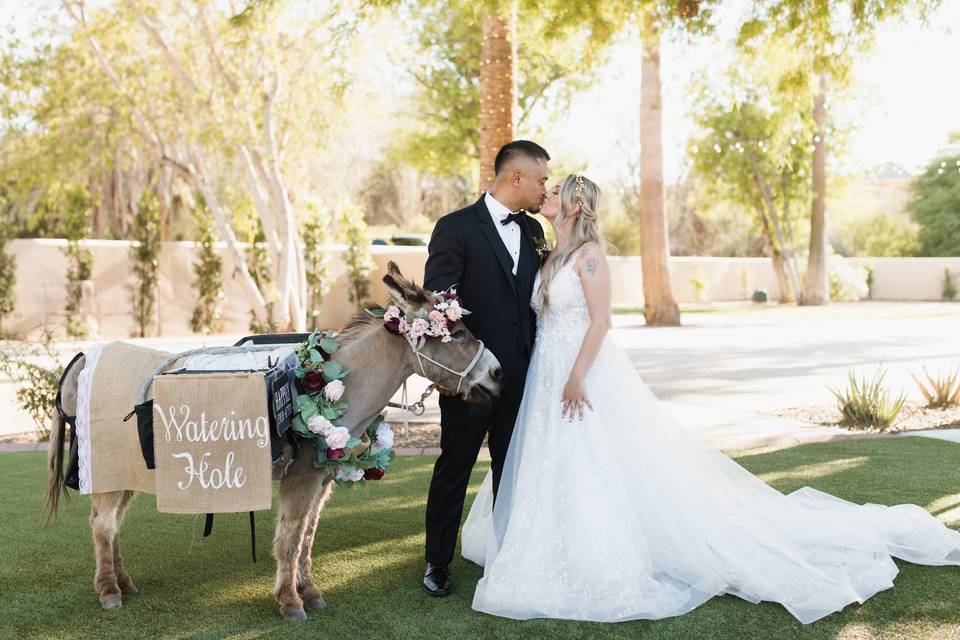 Arizona wedding photographer