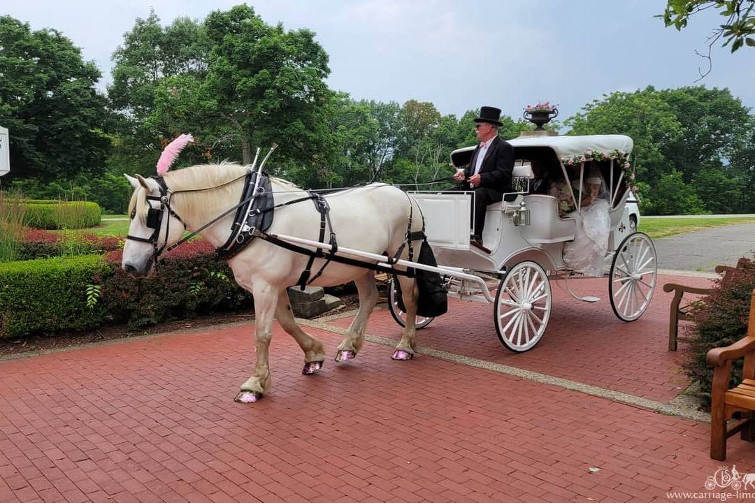 Carriage Limousine Service - Horse Drawn Carriages - Wedding Limos ...