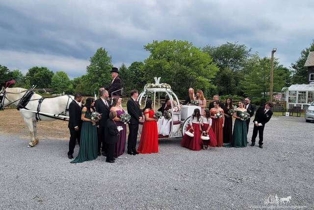 Cinderella Carriage