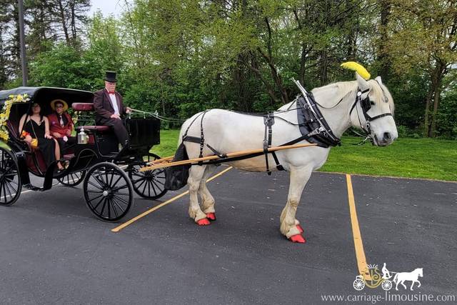 Princess Carriage