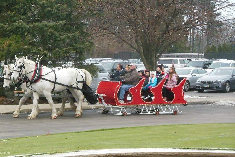 Cinderella Carriage