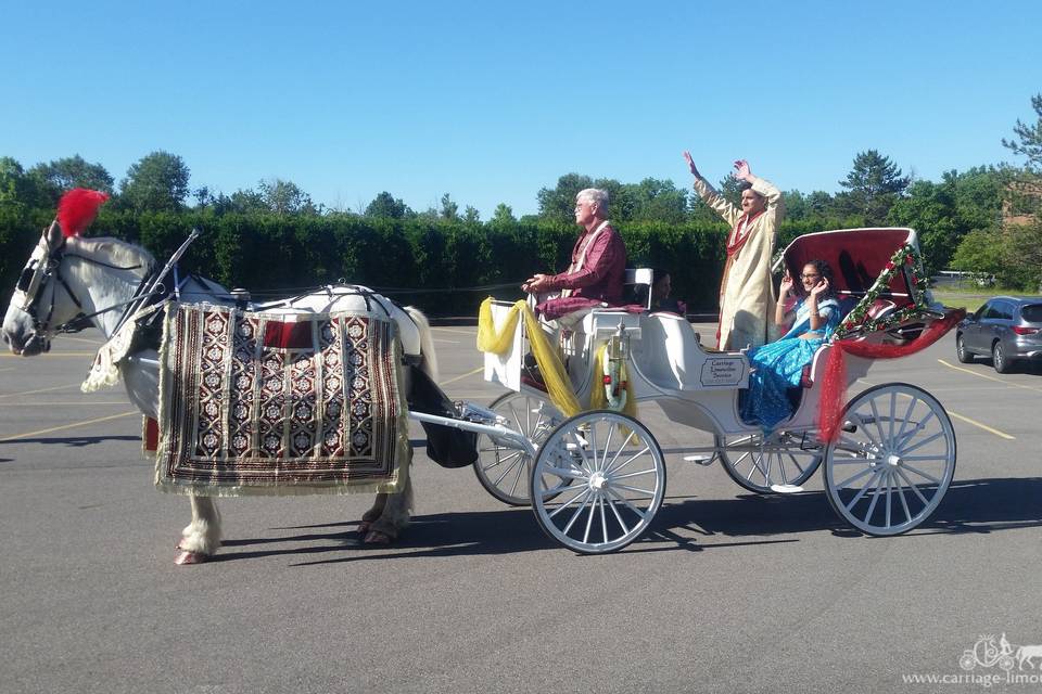 Indian Wedding Carriage