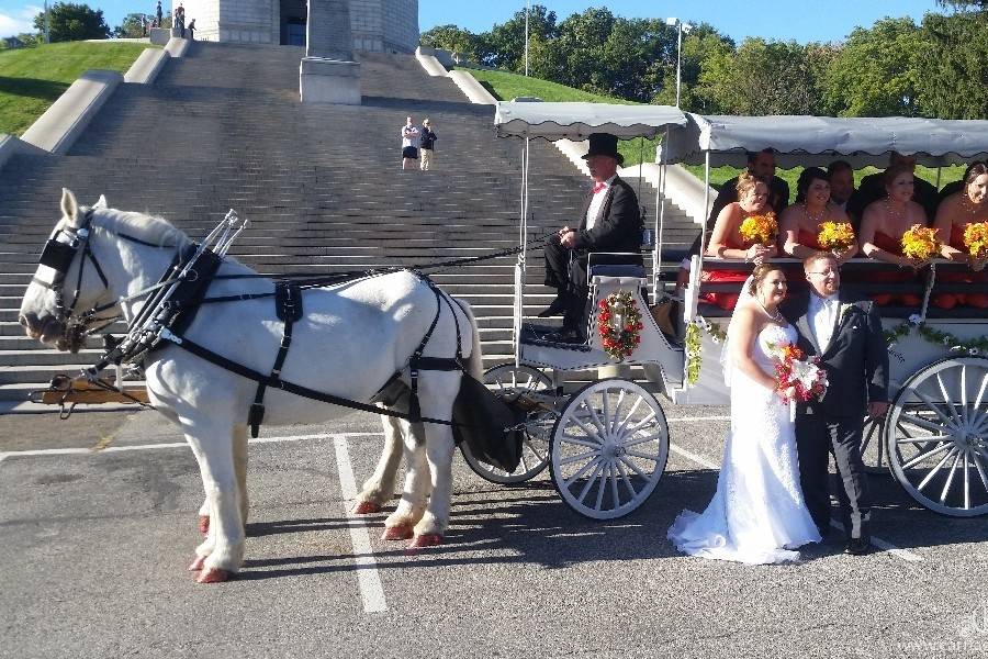 Limousine Carriage