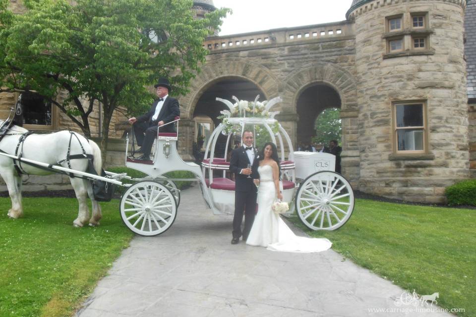 Cinderella Carriage