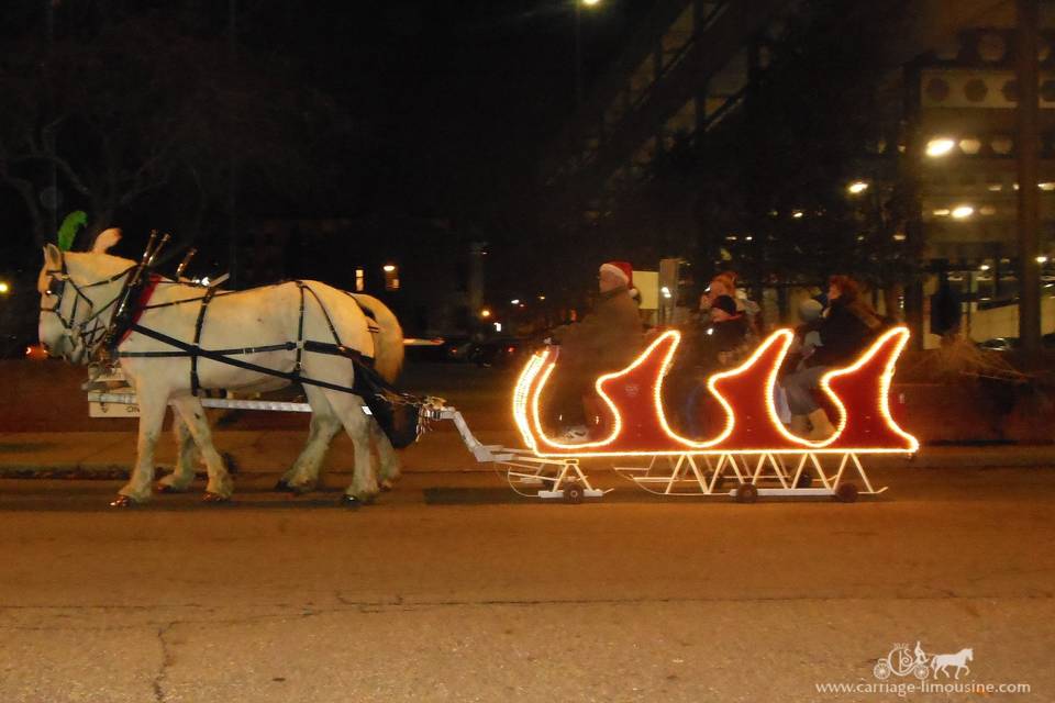 Horse Drawn Sleigh