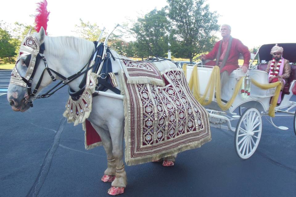 Indian Baraat Carriage