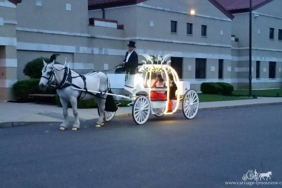 Cinderella Carriage