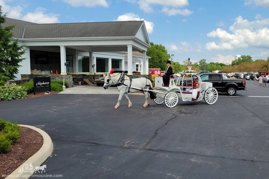 Cinderella Carriage