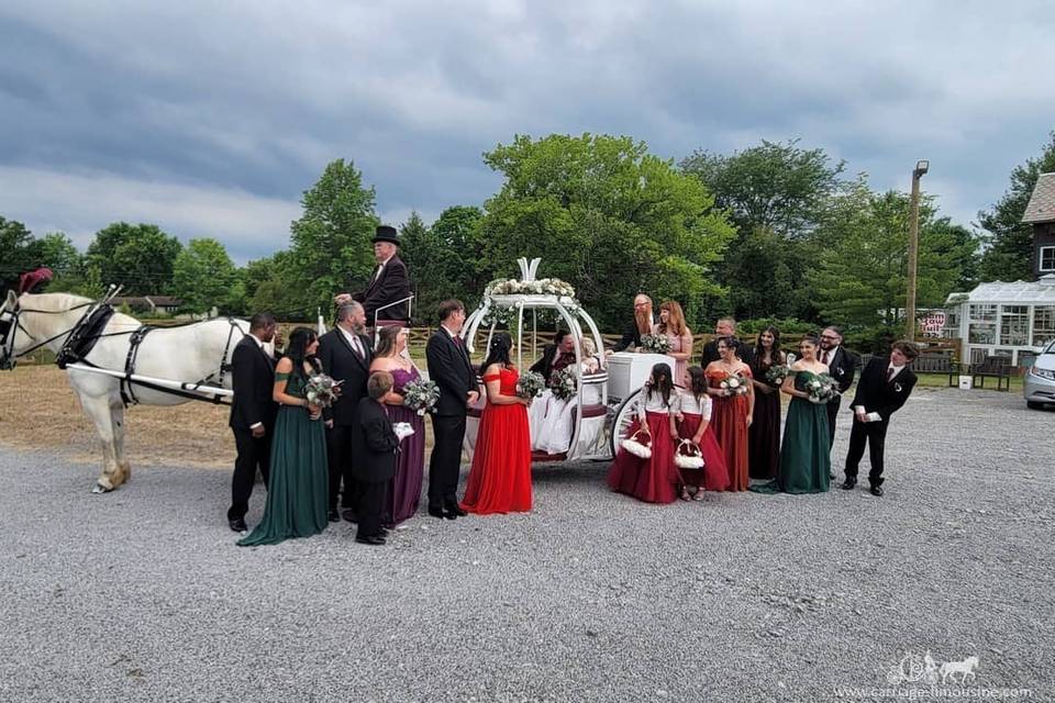 Carriage Limousine Service - Horse Drawn Carriages