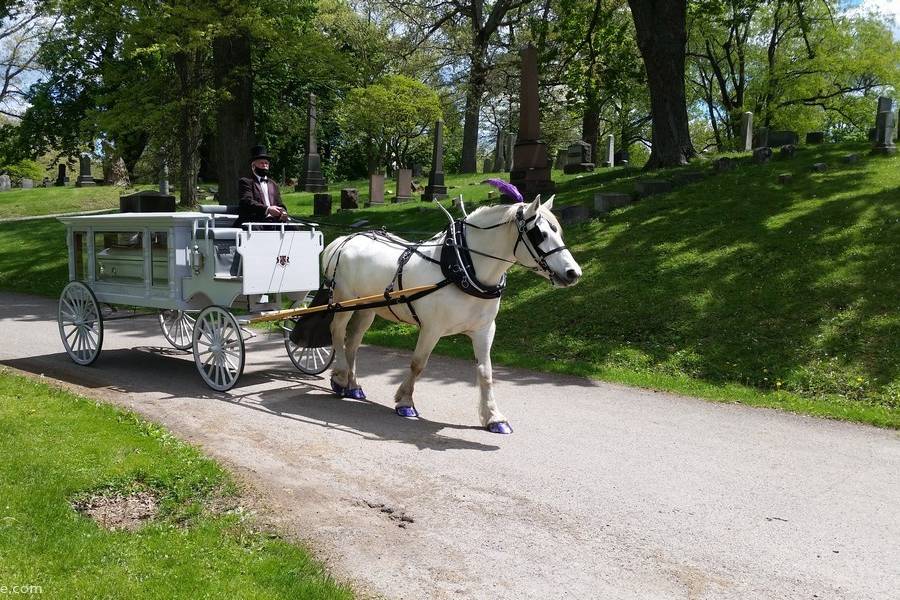 Princess Carriage