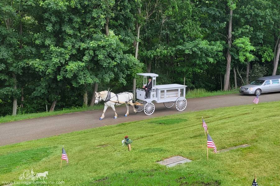 Caisson Hearse